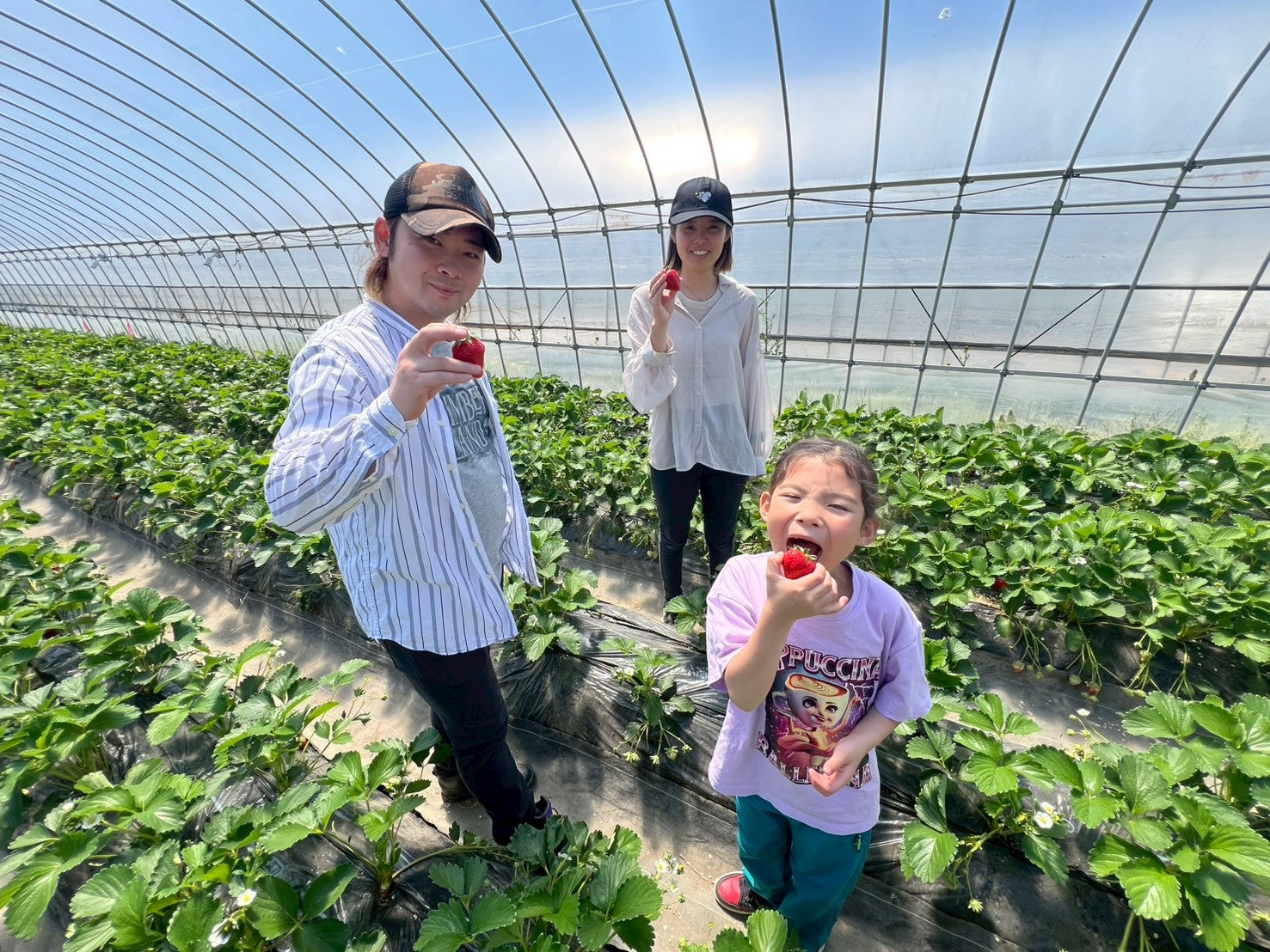【いちご狩り体験】参加料1000円＋収穫分量り売り