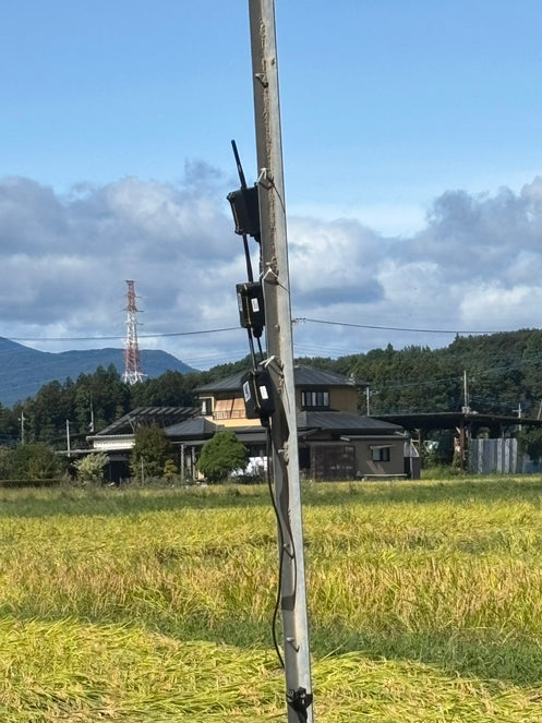 【データ栽培】